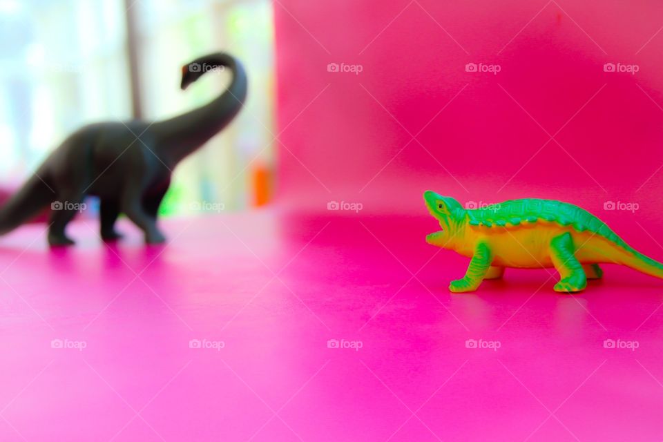 Finding the Dinosaur 