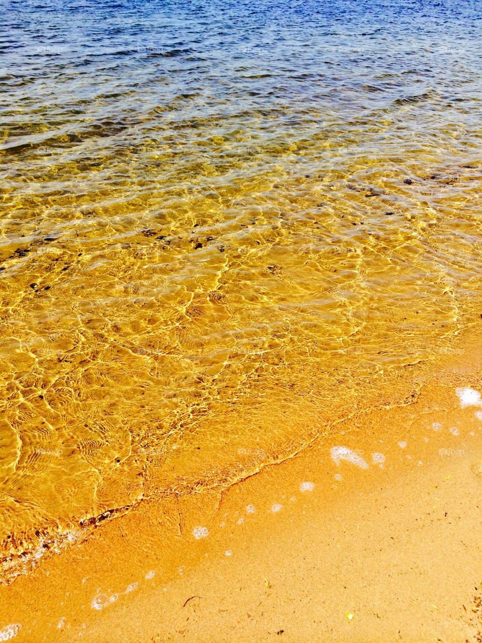 View of beach