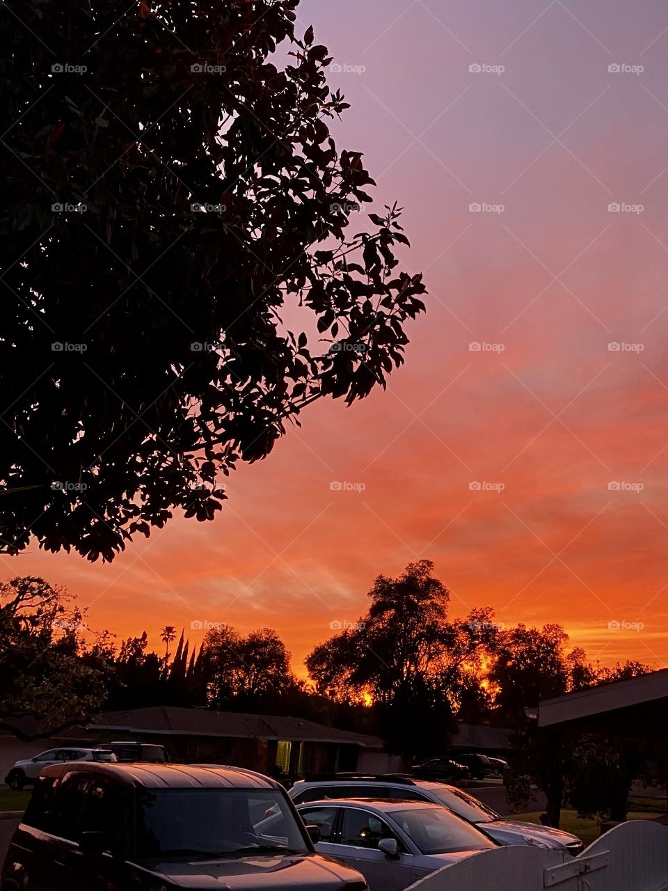 Beautiful sunset in Los Angeles California 