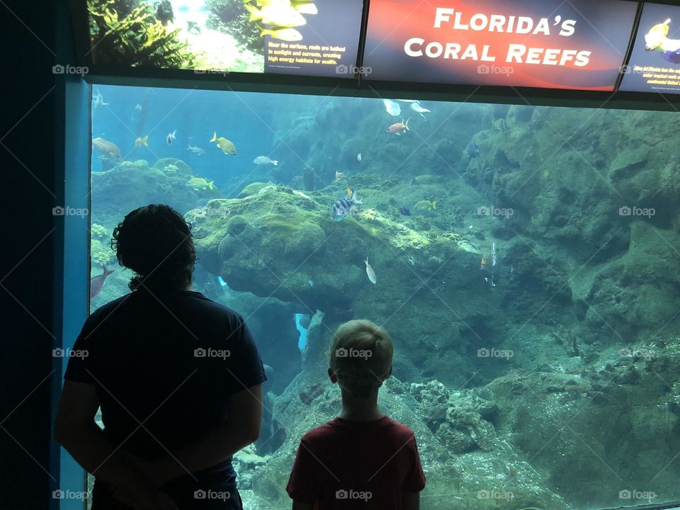 Florida Aquarium