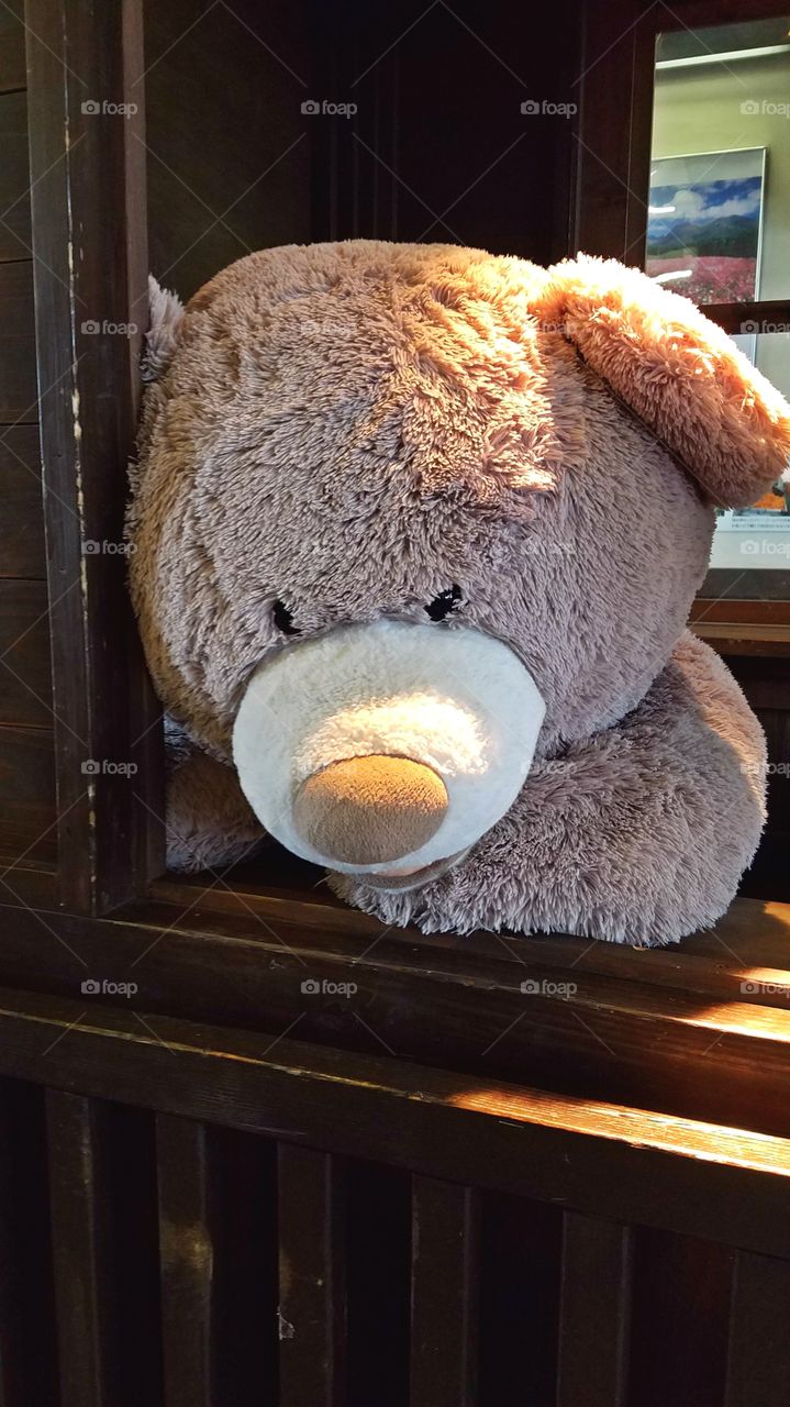 Giant teddy bear on the ticket booth