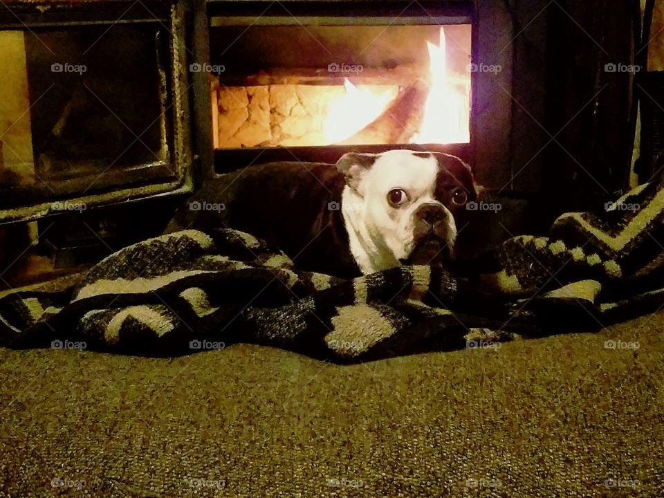 Pete by the fire