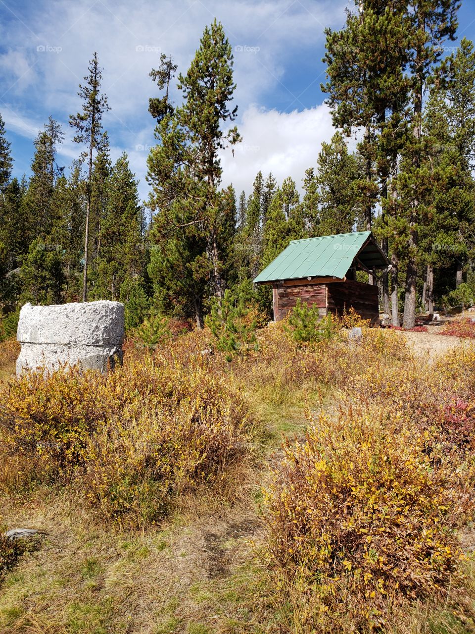 Brilliant fall colors of a landscape on the shores of Elk Lake in Oregon’s Cascade Mountains