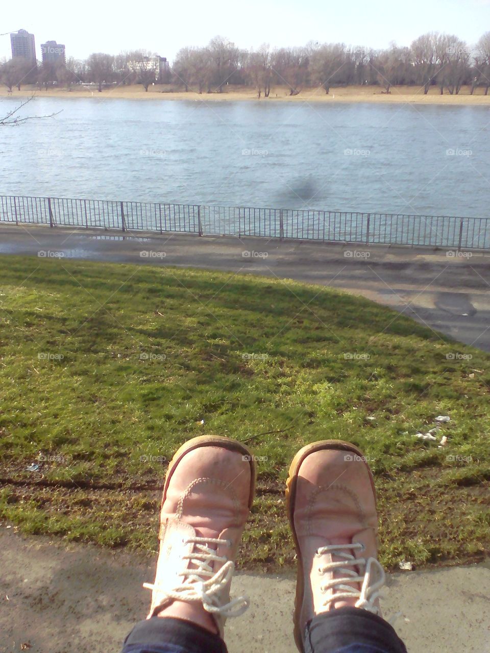 Sunny break at the Rhein