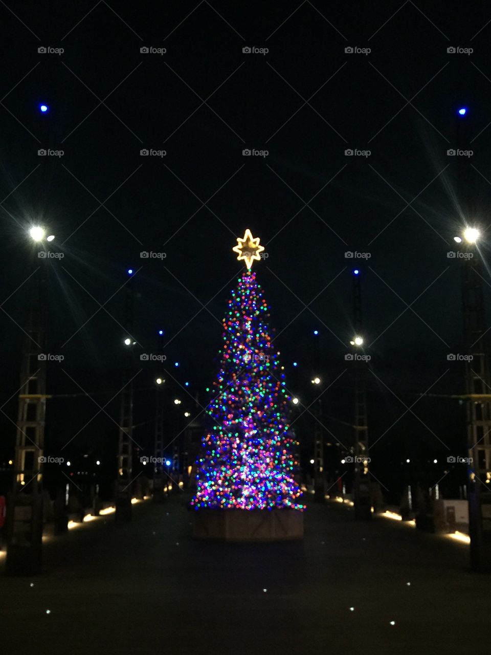 Christmas Tree 🎄 