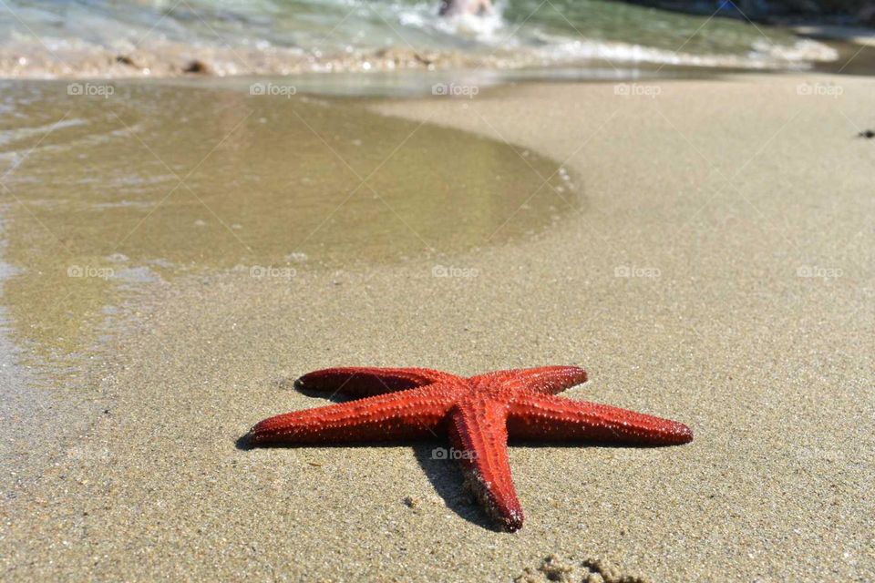 Paradise found! Greece