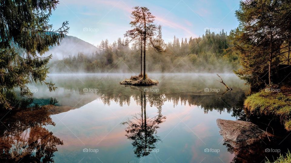 Never best view background sky rever trees forest nice best good evening background 