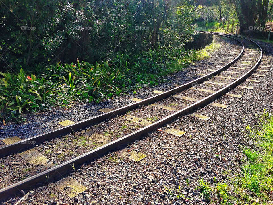 small gauge railroad track curving around a bend in the forest