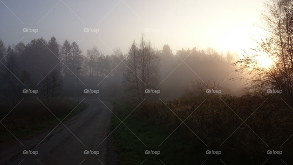 Misty  morning in fall season 