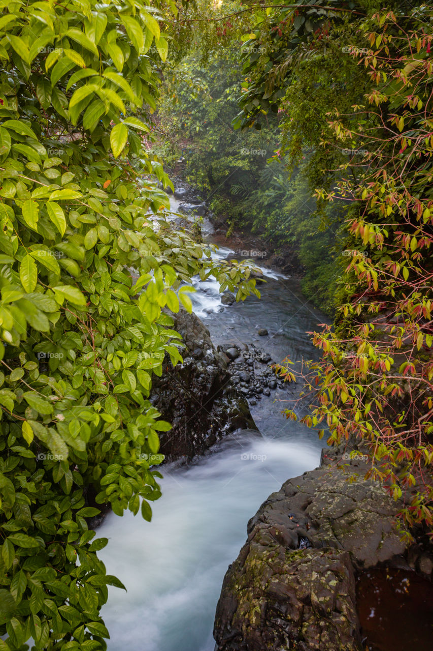 Waterfall Among Tree
