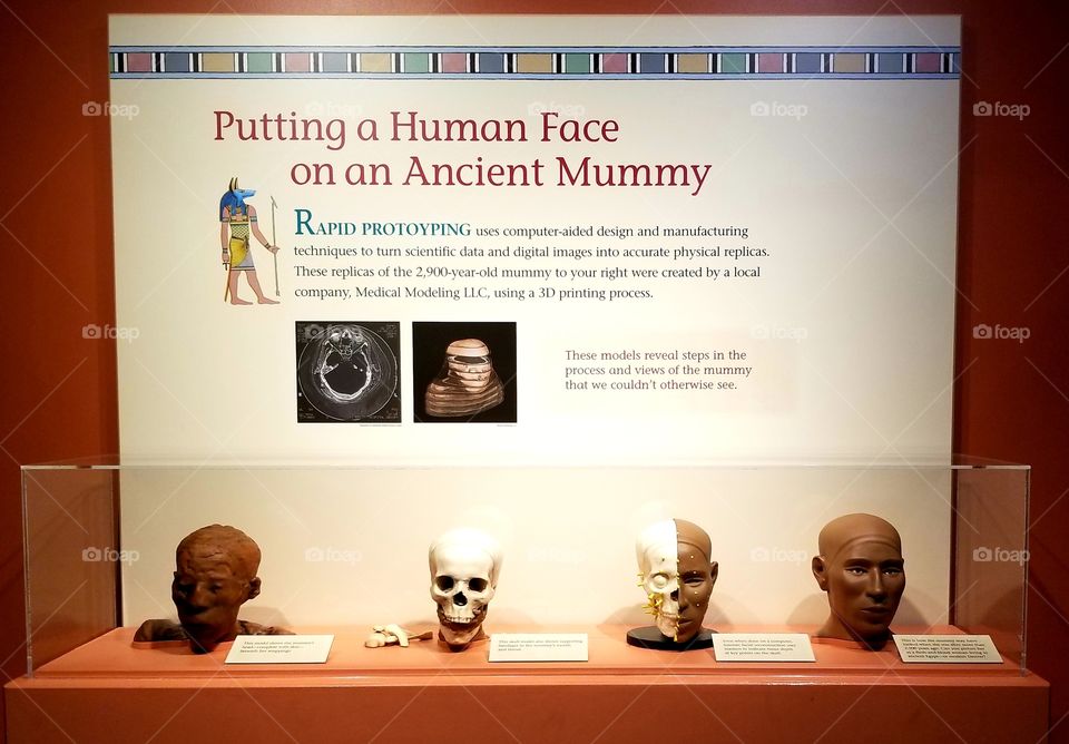 Reconstruction Of The Mummy Face