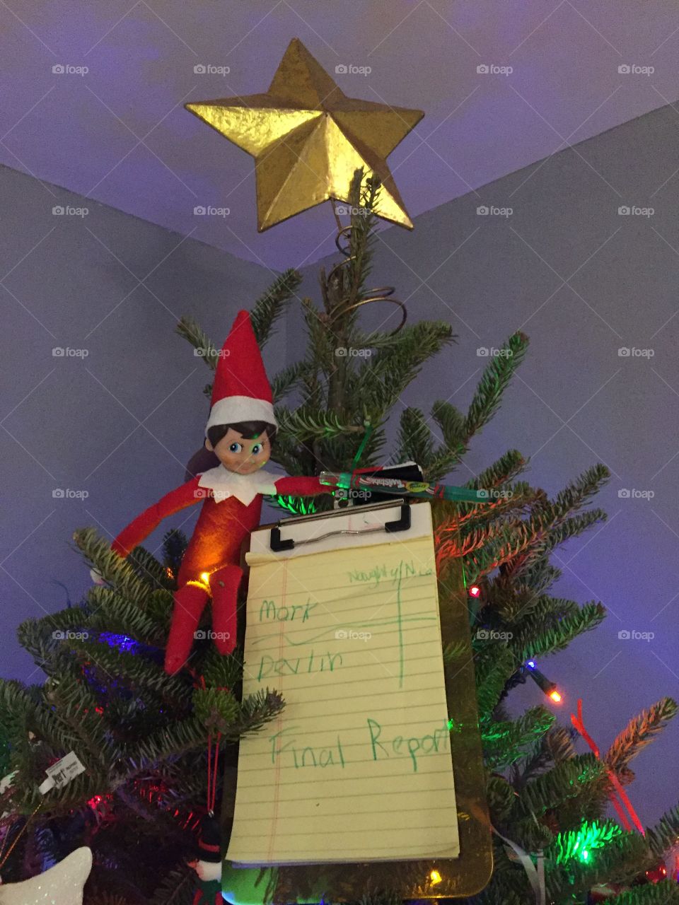 Elf on a shelf in Christmas tree for a final report on Christmas Eve