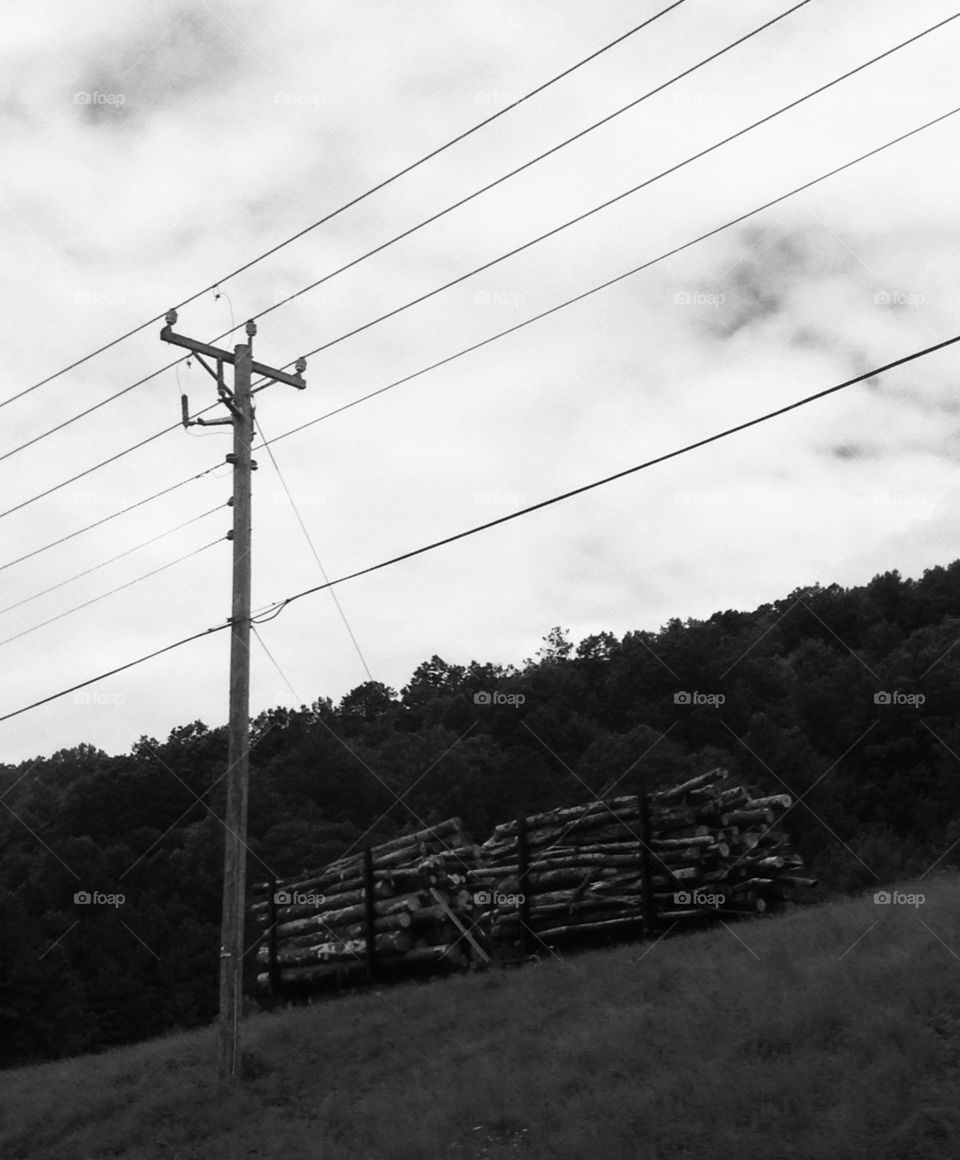 Truck hauling logs