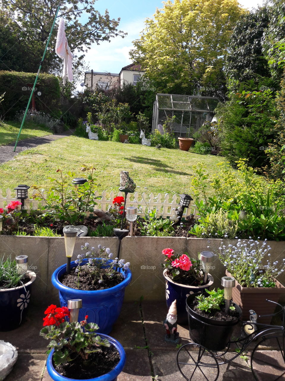 colourful plants just starting to grow all ready for spring and summer