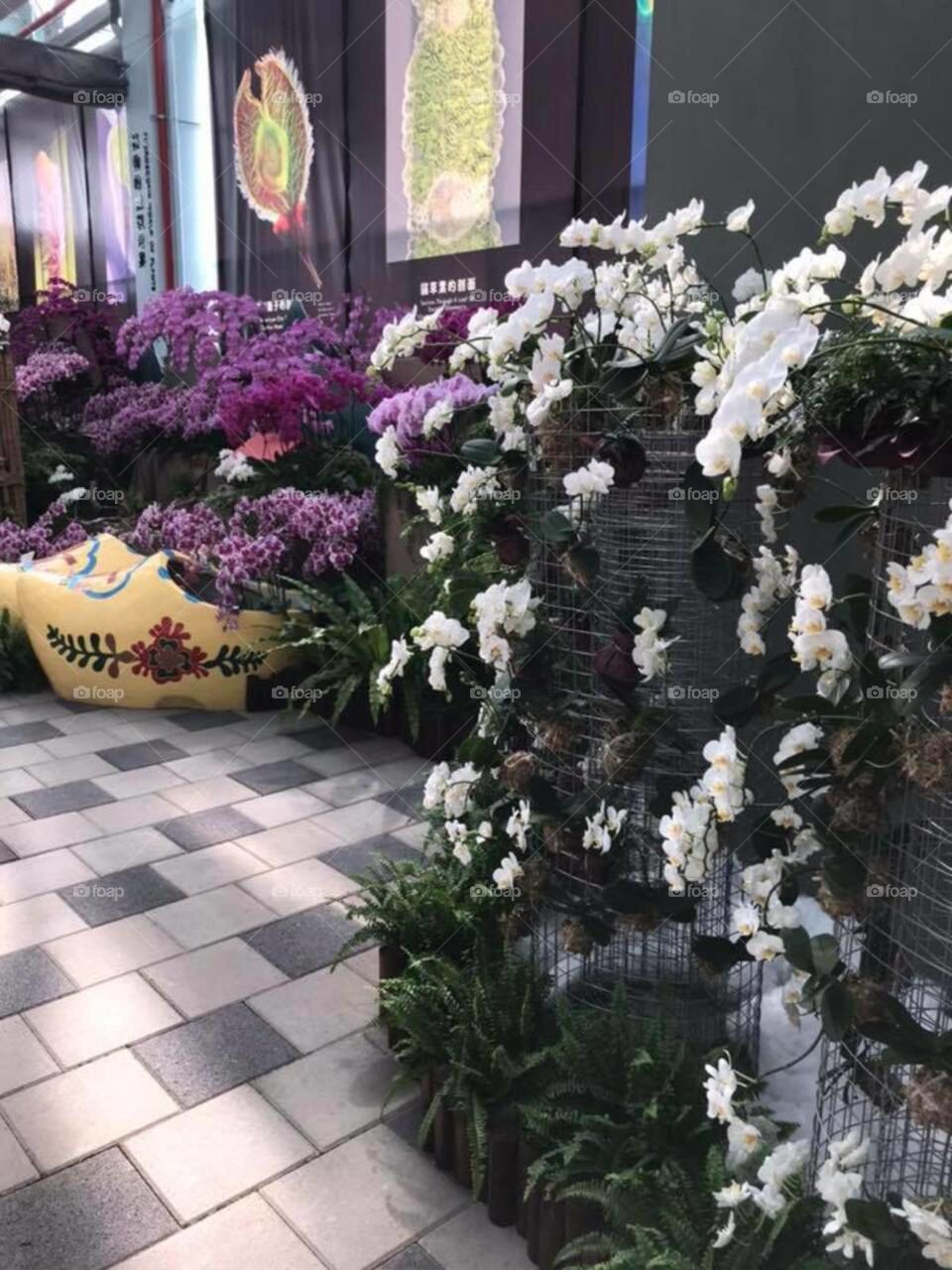Flowers Expo