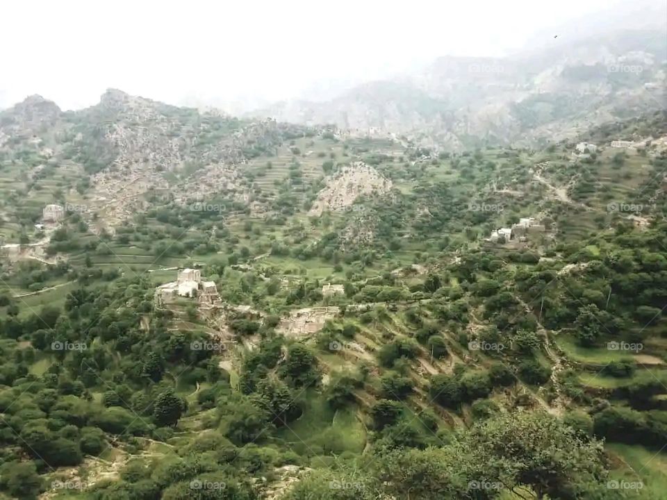 Glory be to God, the magnificent and picturesque view and the natural green trees are a view that is nothing more wonderful than it