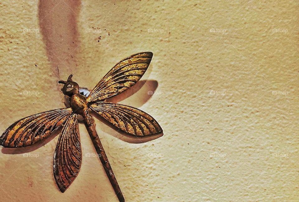 A dragon fly rests on a textured resting place. They represent a loved one is watching over us.