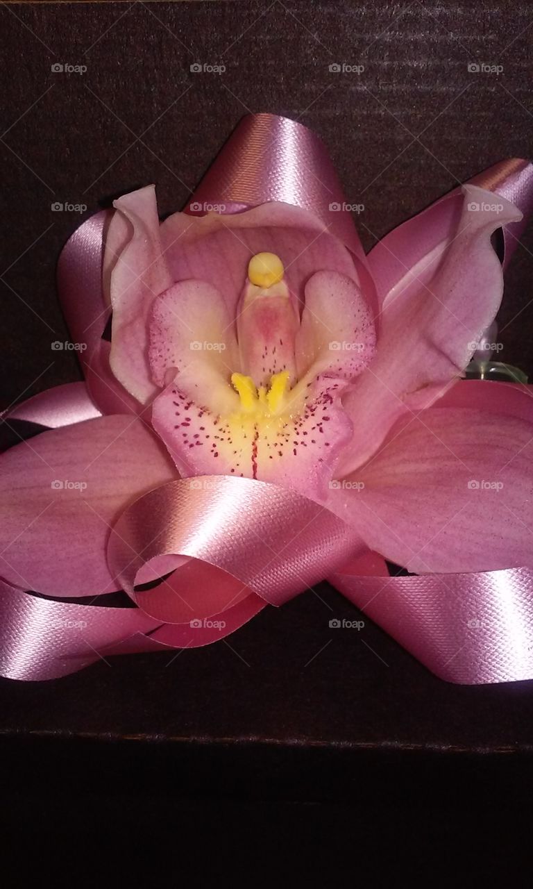 orchid corsage. mothers day corsage