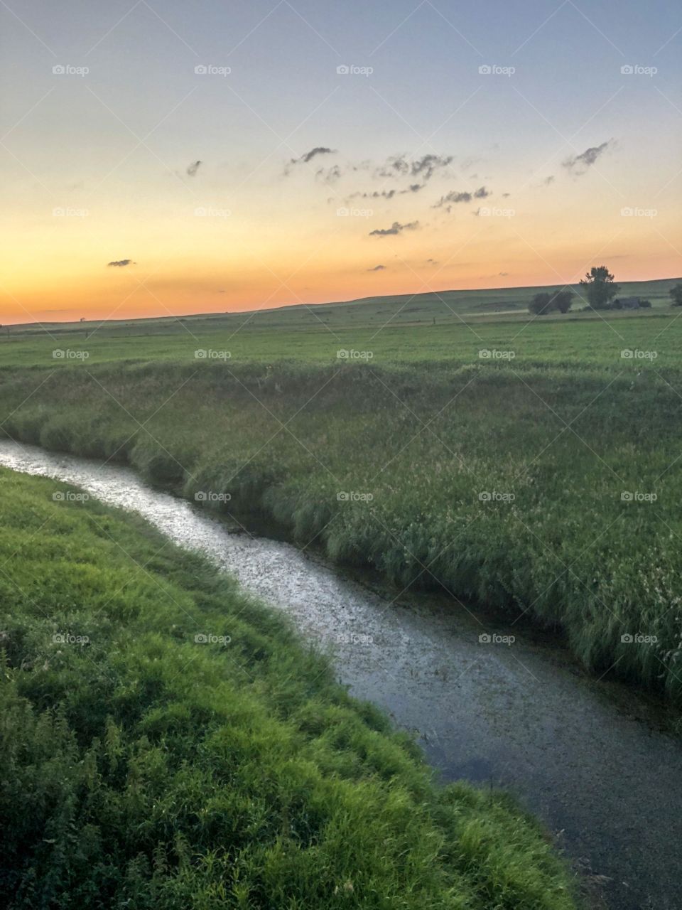North Dakota sunsets never disappoint. Beautiful fields of wheat waving in the North Dakota wind