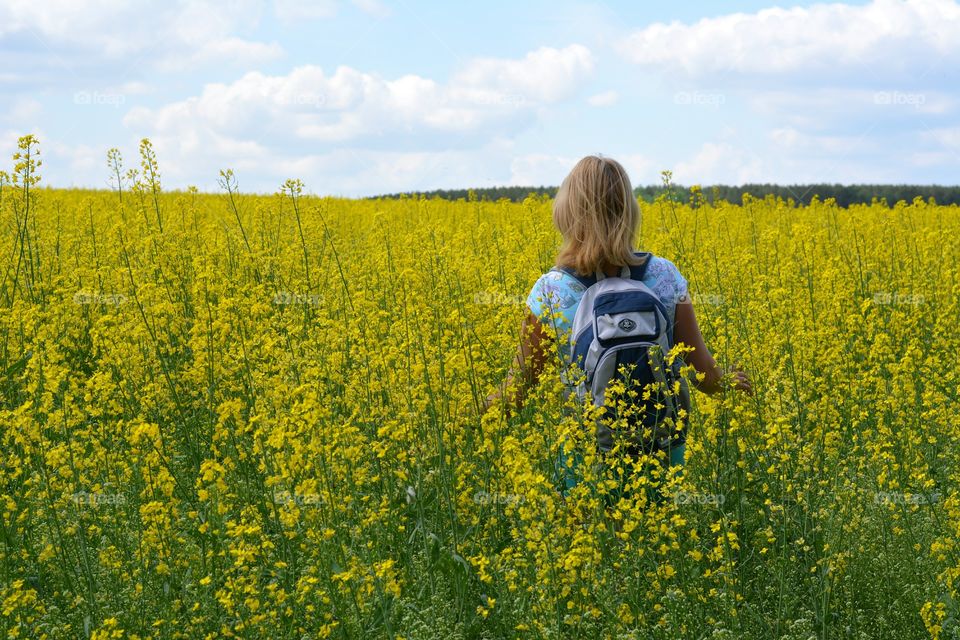 Field, Flower, Landscape, Agriculture, Rapeseed