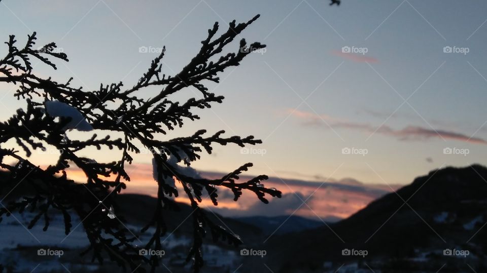 You have to die a few times before you can really
live.