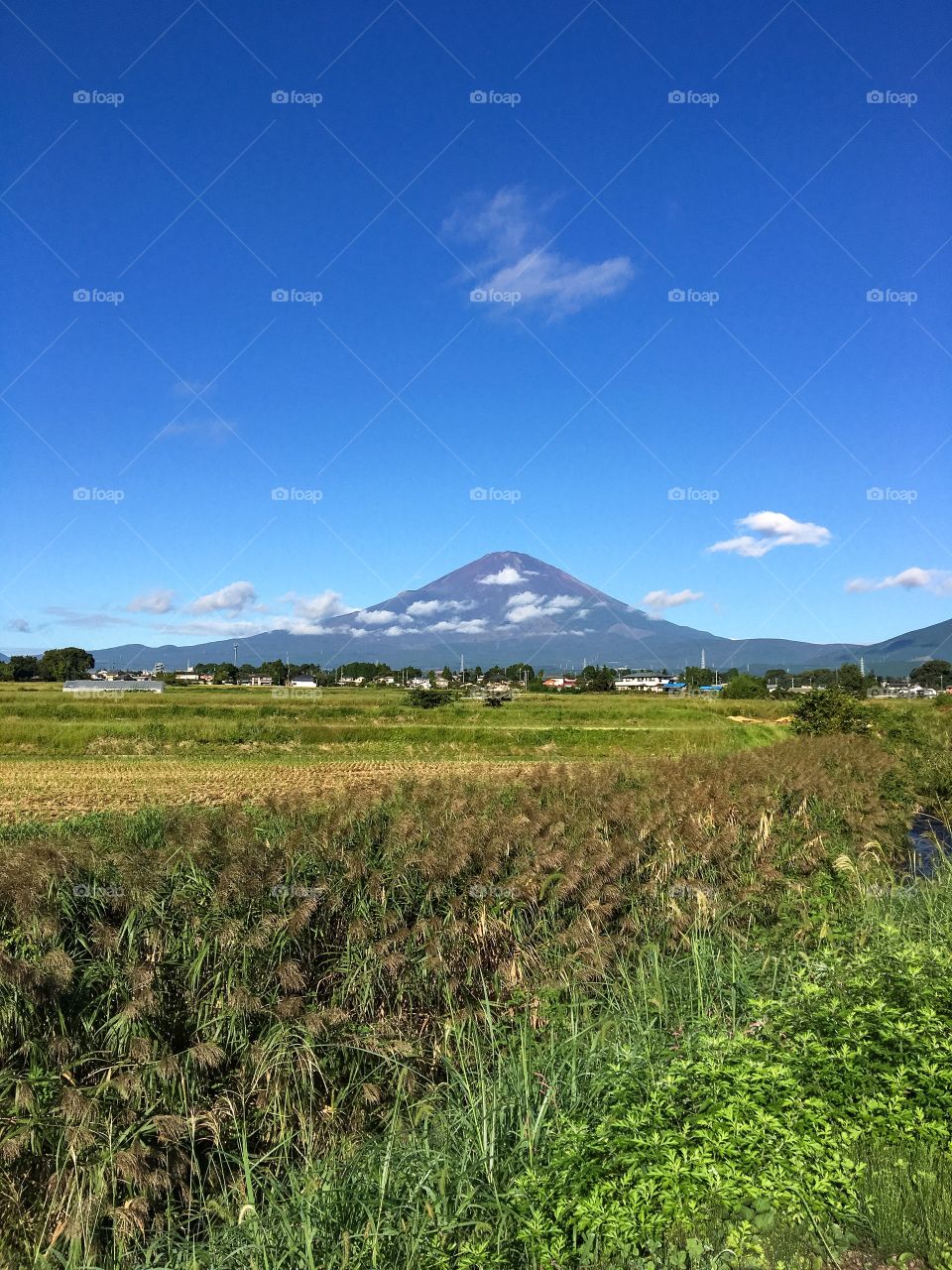 Mt fuji