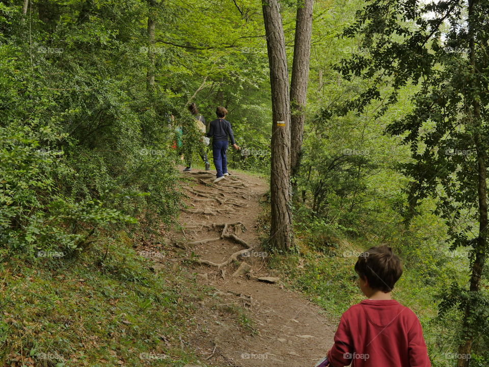 road trail