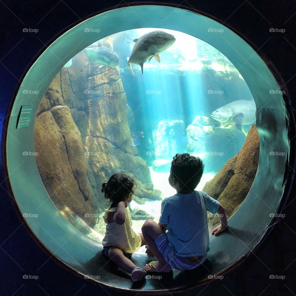 Honolulu Aquarium