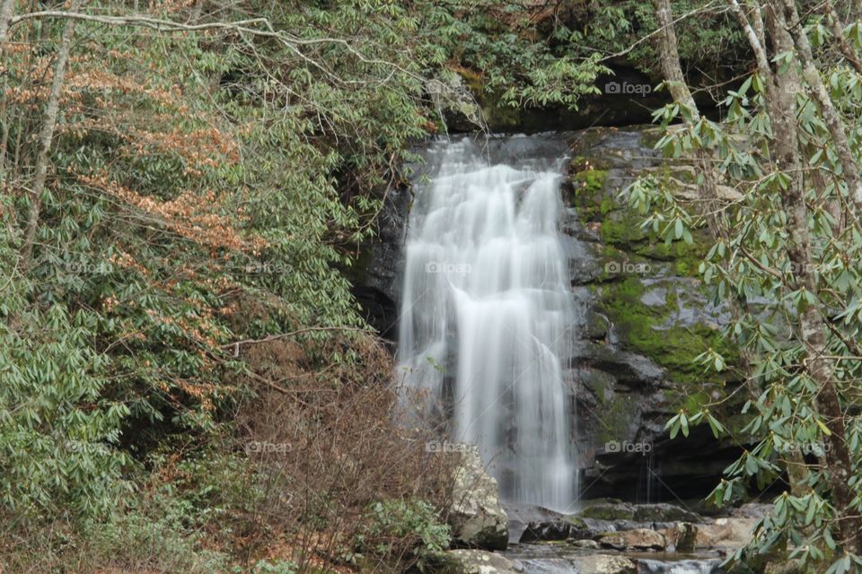 Cascading Falls