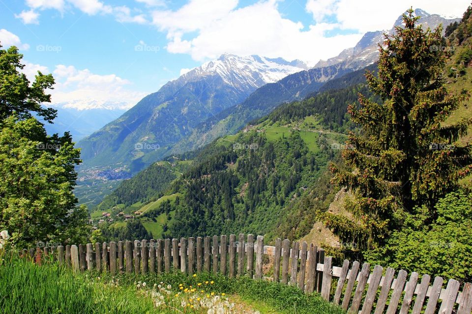 Fence in alto adige during winter