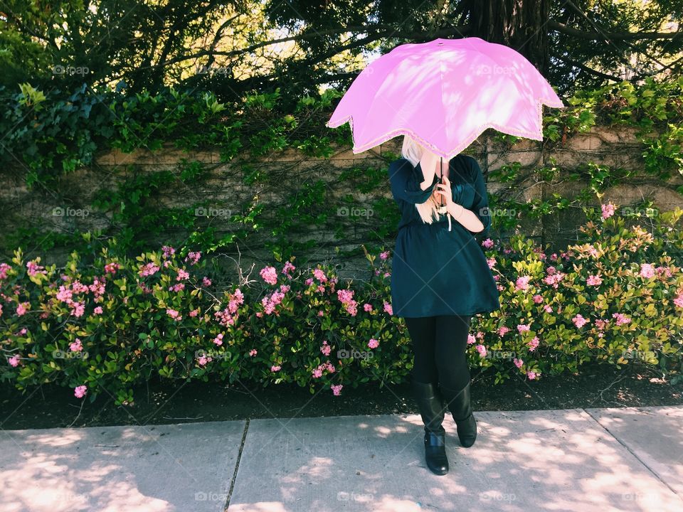 Pink umbrella