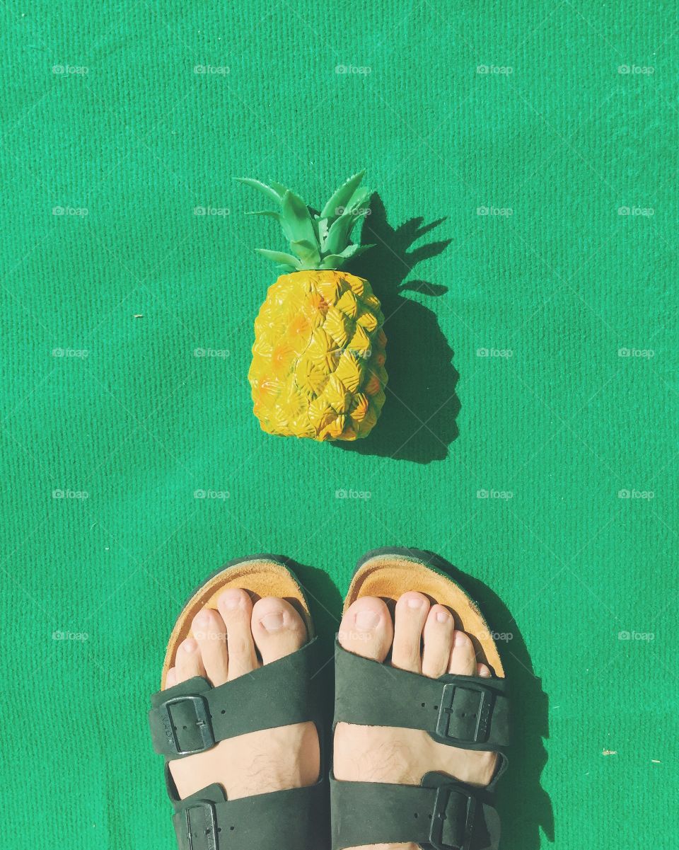 🍍🍍🍍🍍🍍