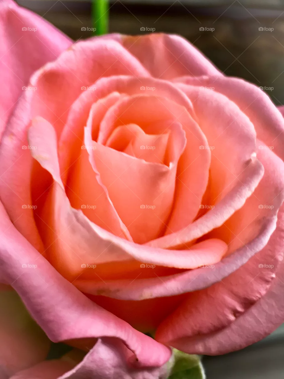 Pinker 