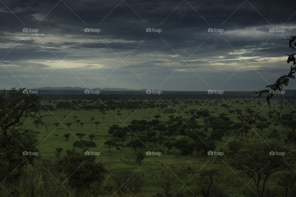 Serengeti National Park, landscape