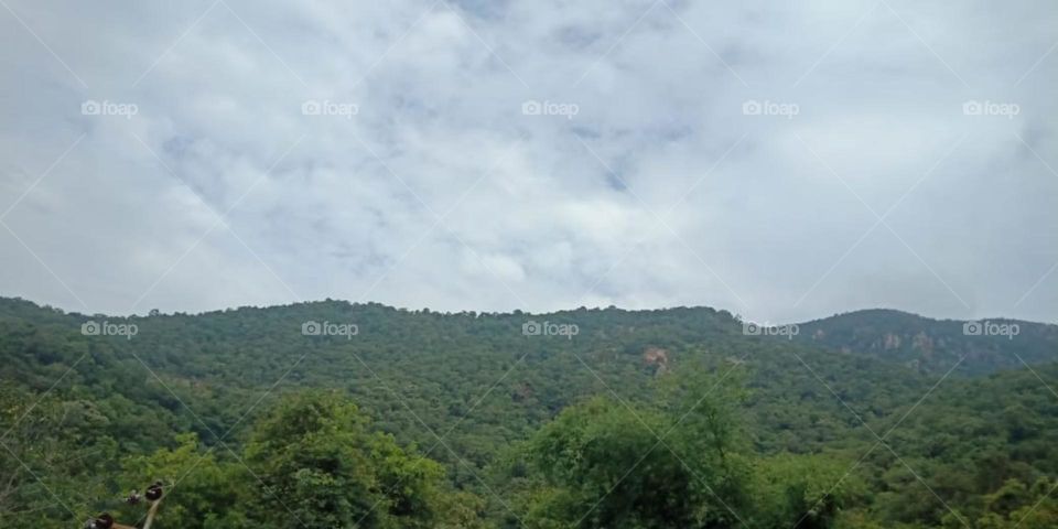 they always look together, but never going to be