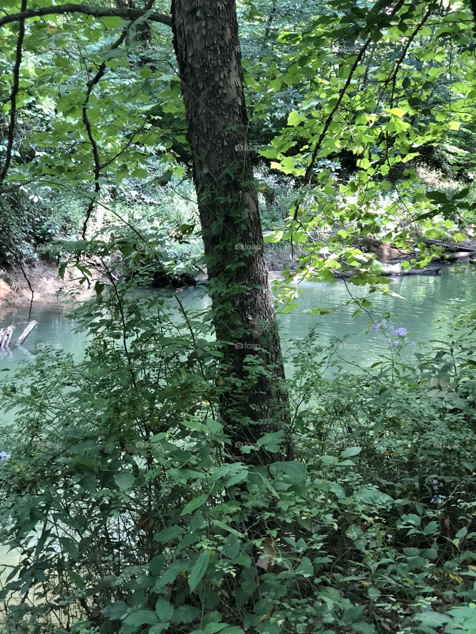 Mineral rich river near old Cole Mine in Moonville Ohio