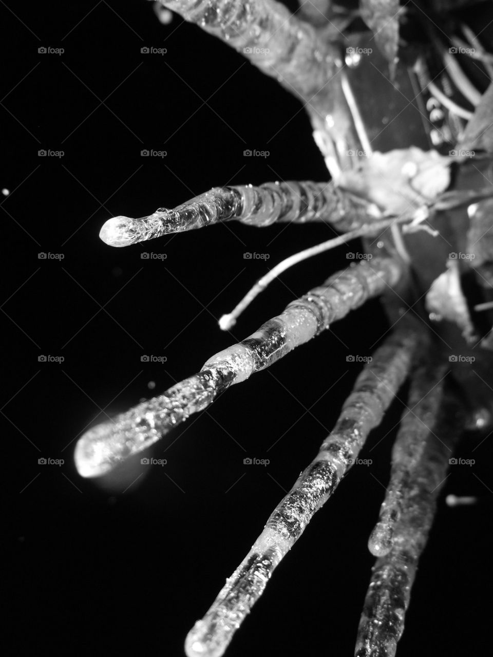 ice fingers by gordynodrog