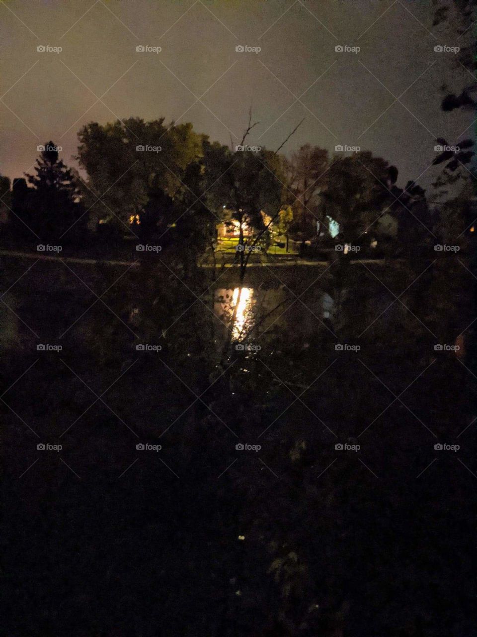 Evening on the water