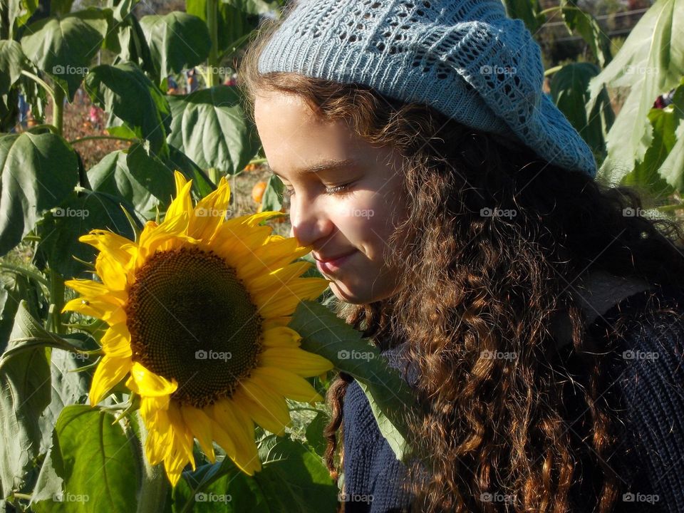 Beautiful Sunflowers