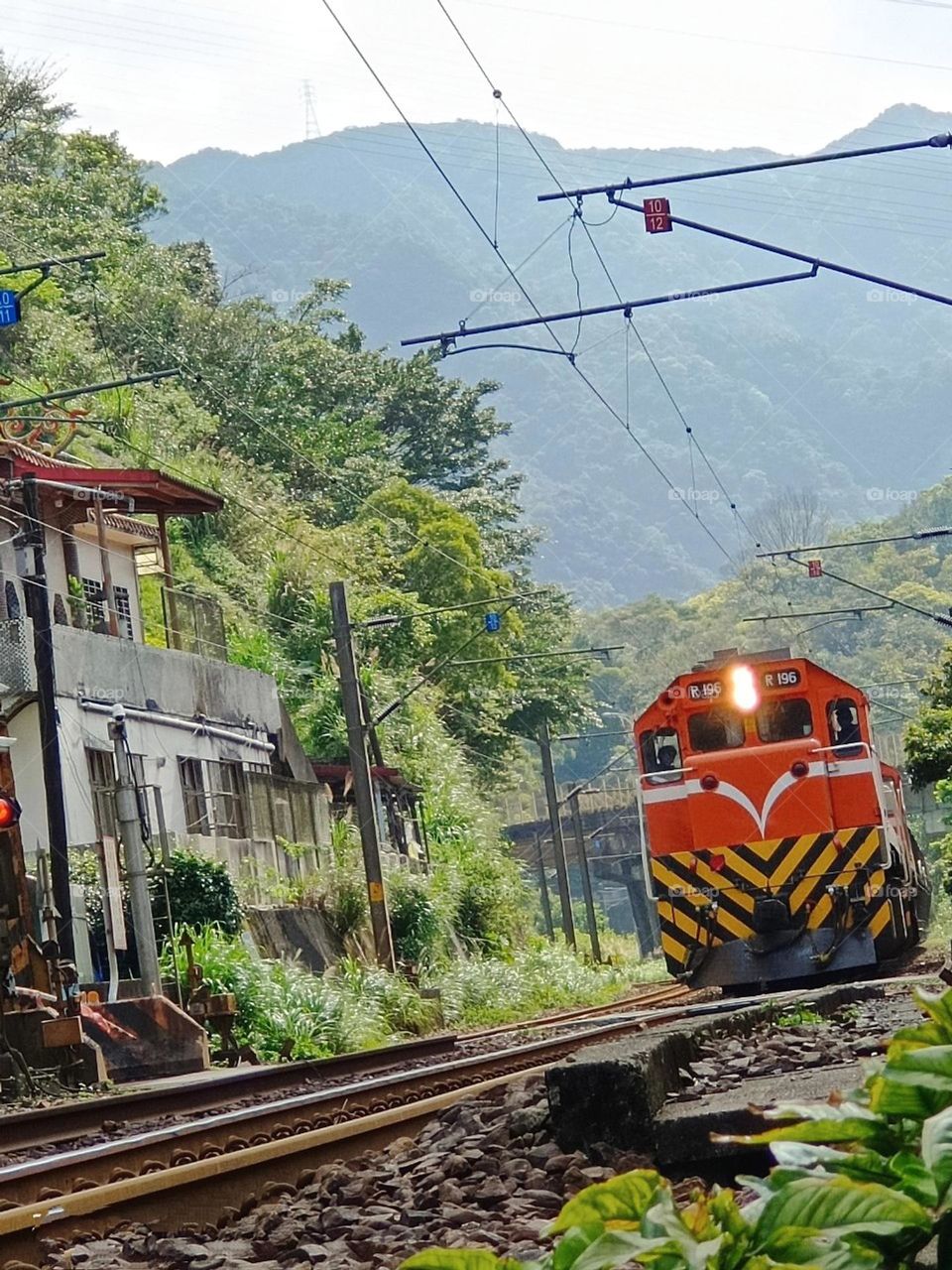 Train on the Rural Track