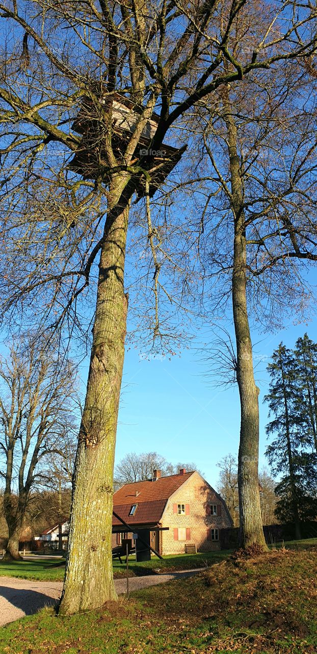 Impossible treehouse