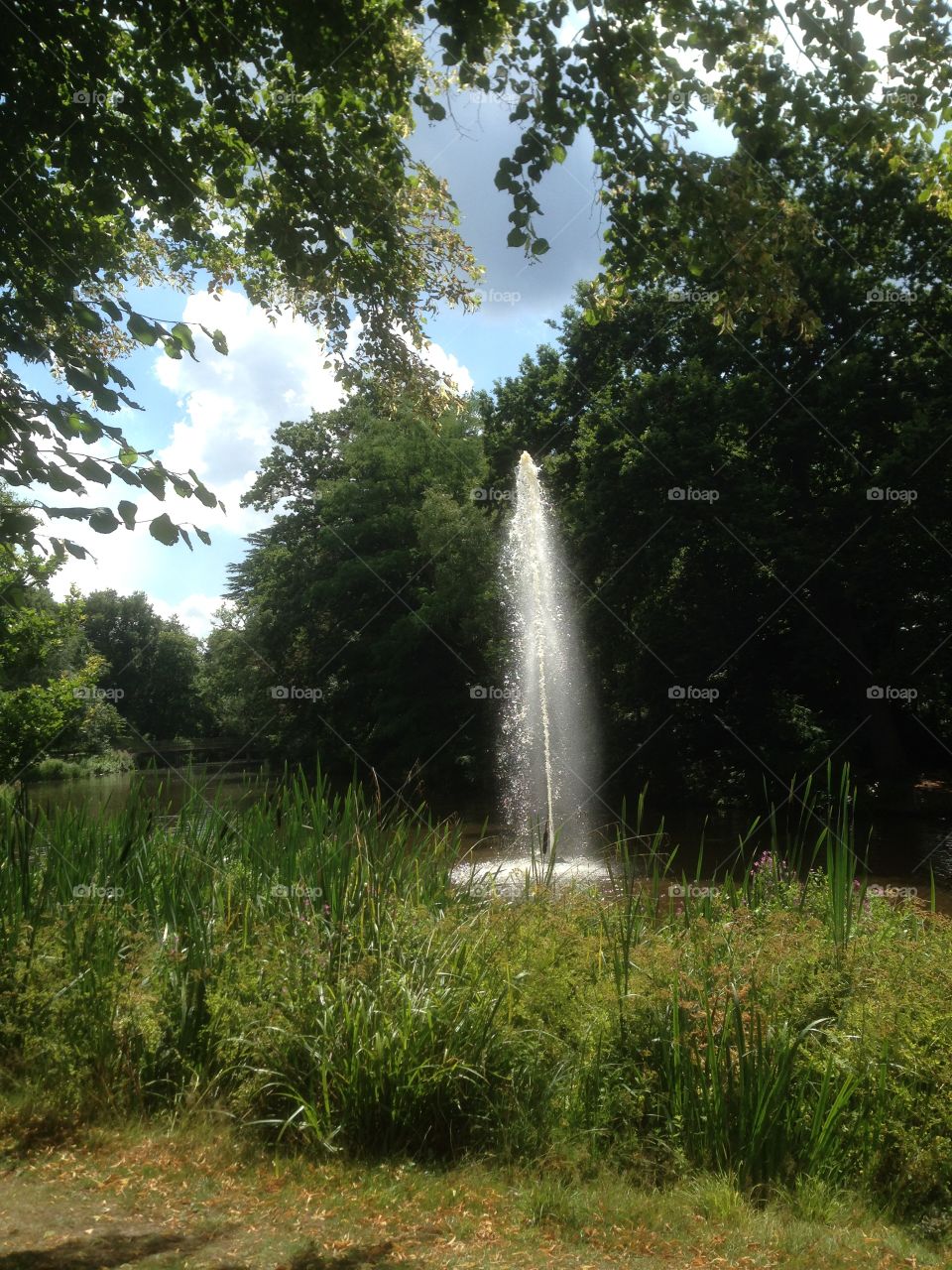 Water fountain 