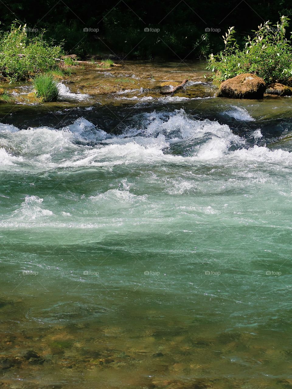 The incredible turquoise waters of the Blue River in the Willamette National Forest on a sunny spring day. 