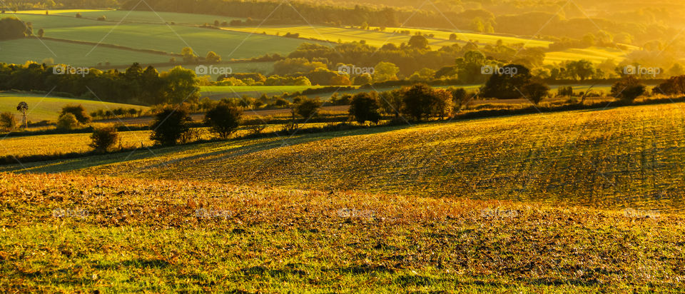 Golden Cotswolds Farmland