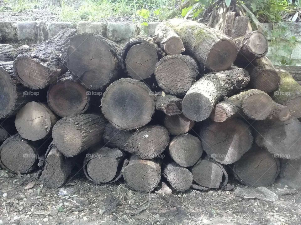 troncos de leña para fogata