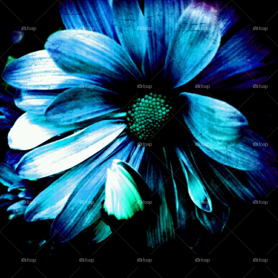 nurturing. lighting effects