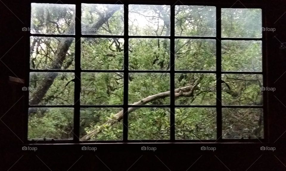 Rectangular windows with a view