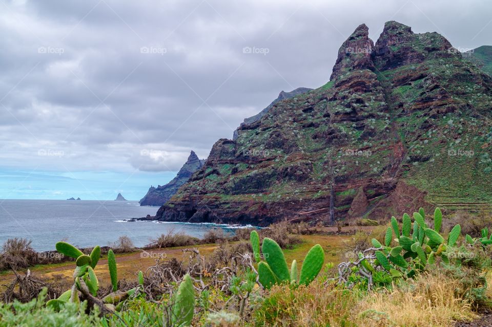 Punta Hidalgo, Tenerife