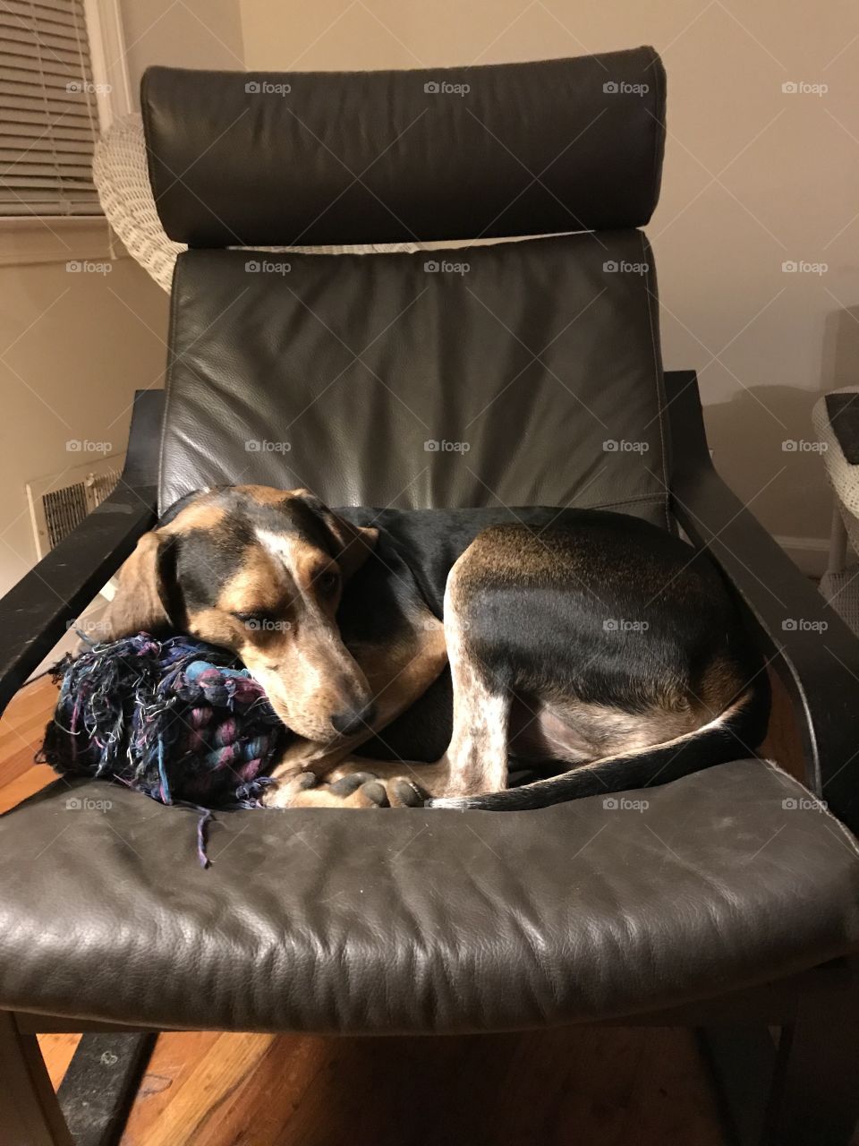 Sitting in her peoples chair