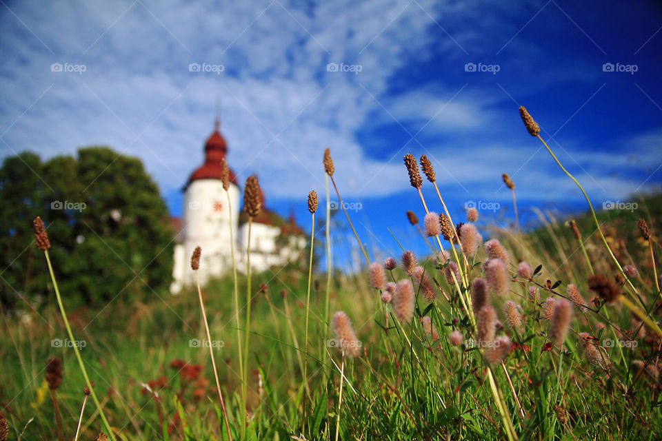 sweden grass building architecture by sethson